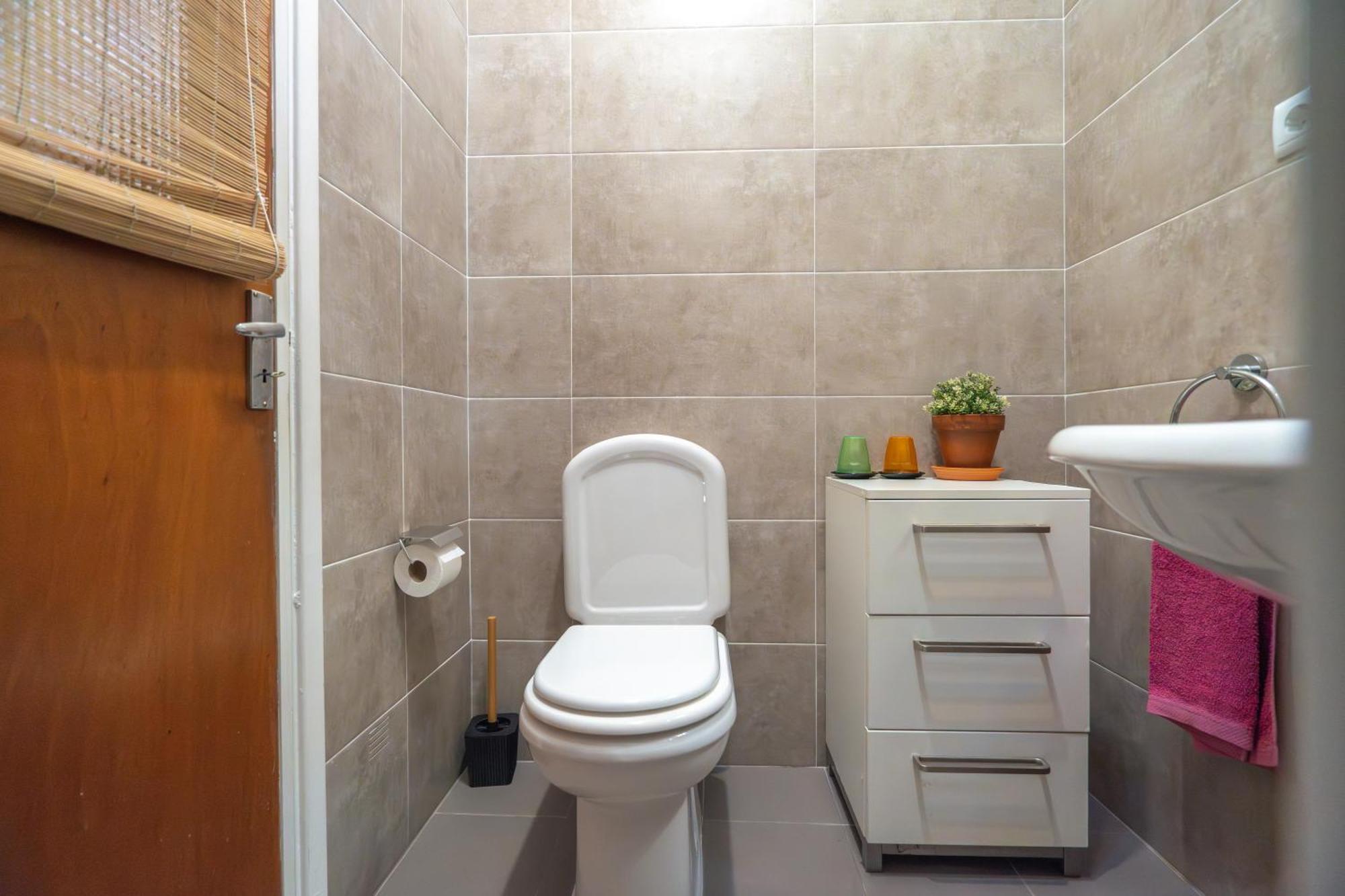 Apartament Patio Da Laranjeira Tomar Zewnętrze zdjęcie